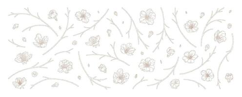 abrikoos bloemen en takken set, vector illustratie