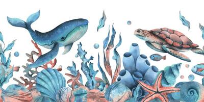 onderwater- wereld clip art met zee dieren walvis, schildpad, Octopus, zeepaardje, zeester, schelpen, koraal en algen. hand- getrokken waterverf illustratie. naadloos grens geïsoleerd van de achtergrond vector