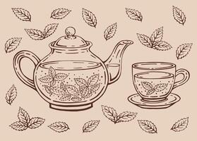 thee reeks met gezond groen thee, munt bladeren. theepot en beker. hand- getrokken vector illustratie in schets stijl.