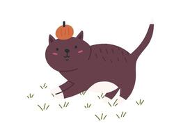 schattig kat met pompoen Aan hoofd, tekenfilm vlak vector illustratie geïsoleerd Aan wit achtergrond. halloween spookachtig kat. grappig kinderachtig tekening.