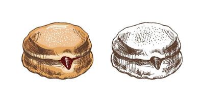 traditioneel Duitse Pools donut met jam, afgestoft. wijnoogst gekleurde en monochroom illustratie. gebakje snoepgoed, nagerecht. element voor de ontwerp van etiketten, verpakking en ansichtkaarten. vector