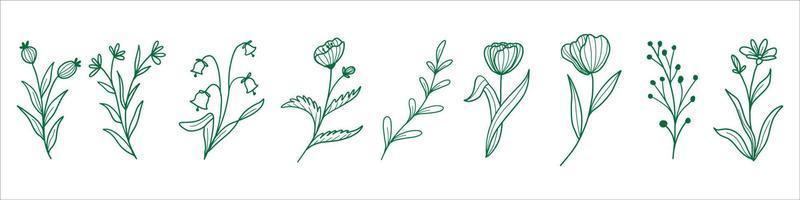 verzameling van botanische blad vector eps 10