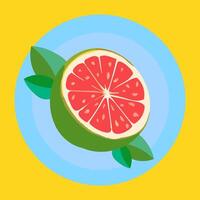 grapefruit Aan een blauw bord Aan een geel achtergrond. vector illustratie.