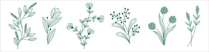 handgetekende planten drawn vector