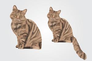 handgetekende aquarel kattenverf vector