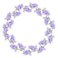 krans van lavendel bloemen. element van Purper delicaat bloemen voor uw ontwerp. vector illustratie geïsoleerd Aan wit achtergrond.