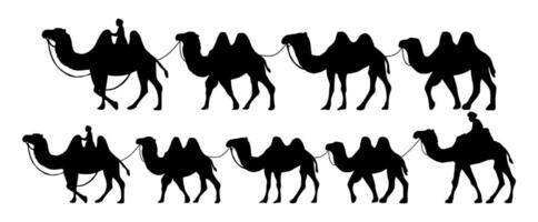 verzameling van kameel herder silhouet illustratie. kameel caravan silhouet vector