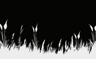 beeld van een monochroom riet, gras of biezen Aan een wit background.isolated vector tekening.zwart gras grafisch silhouet.