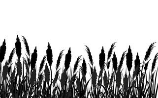 beeld van een monochroom riet, gras of biezen Aan een wit background.isolated vector tekening.zwart gras grafisch silhouet.