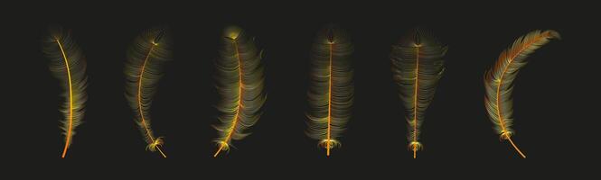 reeks van realistisch vector gans of zwaan veren van divers vormen. ecologisch veer vulmiddel voor kussens, dekens of jassen.vector concept ontwerp, lijn kunst.