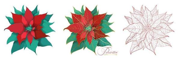 poinsettia bloemen in een elegante decoratieve stijl vector