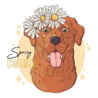 hand getekende labrador retriever hond met bloemen vector. geïsoleerde objecten voor uw ontwerp. elk object kan worden gewijzigd en verplaatst. vector