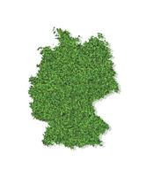 vector geïsoleerd vereenvoudigd illustratie icoon met groen met gras begroeid silhouet van Duitsland kaart. wit achtergrond