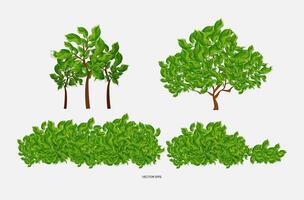 een reeks van verschillend bomen en struiken vector