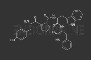 endorfine moleculair skelet- chemisch formule vector