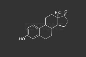 oestron moleculair skelet- chemisch formule vector