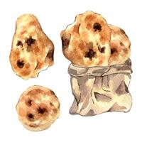 ambacht papier zak met Pitta, pita waterverf illustratie geïsoleerd Aan wit achtergrond. bruin ambacht winkel zak met Indisch naan hand- getrokken. geschilderd brood. element voor ontwerp bakkerij, kruidenier op te slaan vector