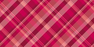 Gooi plaid controleren vector, madeliefje Schotse ruit textiel textuur. nationaal achtergrond kleding stof naadloos patroon in rood en roze kleuren. vector