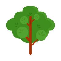 boom groen natuur illustratie vector