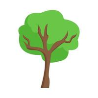 boom groen natuur illustratie vector