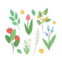 voorjaar reeks van elementen van bloemen en takken in tekenfilm stijl vector