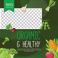 gezond vegetarisch voedsel sociaal media post sjabloon ontwerp vector