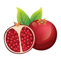 granaatappel fruit icoon ontwerp. vers fruit vector