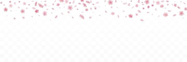 vallend bloemen en bloemblaadjes van roze sakura. vector illustratie.