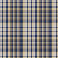 naadloos patroon van plaid. controleren kleding stof textuur. gestreept textiel print.geruit katoenen stof kleding stof naadloos patroon. vector naadloos patroon.