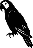 afrikaanse grijze papegaai zwart silhouet vector