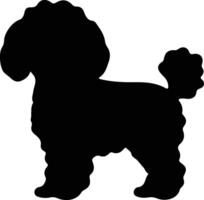 bichon frise silhouet vector