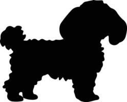 bichon frise silhouet vector