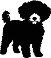 bichon frise silhouet vector