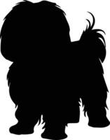 lhasa apso zwart silhouet vector