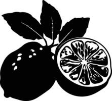 ugli fruit zwart silhouet vector
