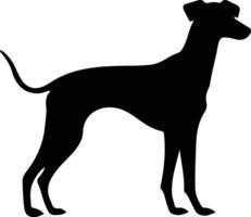 whippet zwart silhouet vector