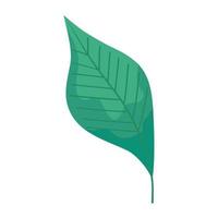 groot groen blad vector