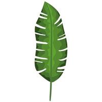 tropisch blad icoon vector
