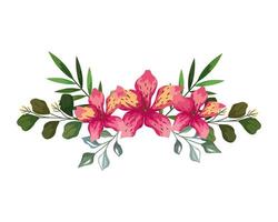 Hawaiiaanse bloemen met bladeren vector