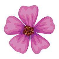 tuin paarse bloem vector