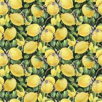 citroenen zijn geel, sappig, rijp met groen bladeren, bloem bloemknoppen Aan de takken, geheel en plakjes. waterverf, hand- getrokken botanisch illustratie. naadloos patroon Aan een donker achtergrond. vector