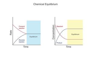 chemisch evenwicht is een dynamisch staat waar de tarieven van vooruit en omgekeerde reacties zijn Gelijk, resulterend in een constante concentratie van reactanten en producten. vector