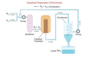 ammoniak is industrieel gesynthetiseerd door haber bosch werkwijze, combineren stikstof waterstof onder hoog druk en temperatuur, gefaciliteerd door ijzer katalysatoren, opbrengen een vitaal verbinding voor meststoffen vector