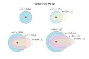 de zomerfeld model- verbetert bohrs atomair model- door incorporeren elliptisch banen en draaien, uitleggen prima spectraal lijnen in een gekwantiseerd manier.atomisch structuur illustratie. vector