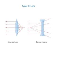 types van lens. convex en concaaf lens. fysica vector illustratie.