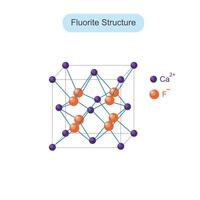 fluoriet structuur, café2 structuur. solide staat chemie illustratie. kristallijn stevig. vector