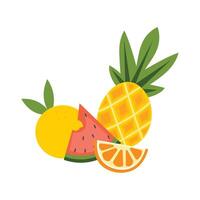 zomer fruit reeks vector illustratie