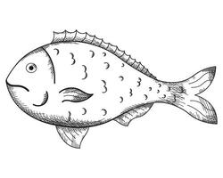 dorado gegraveerde vis schetsen hand- getrokken inkt vector illustratie. grafisch tekening vis dorado marinier ontwerp, zeevruchten, zee visvangst voor sjabloon, label, achtergrond, kaart, poster, logo, folder, omhulsel