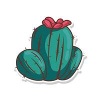 cactus fabriek illustratie vector kunst