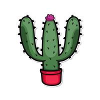 cactus fabriek illustratie vector kunst